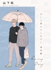 rainy-day